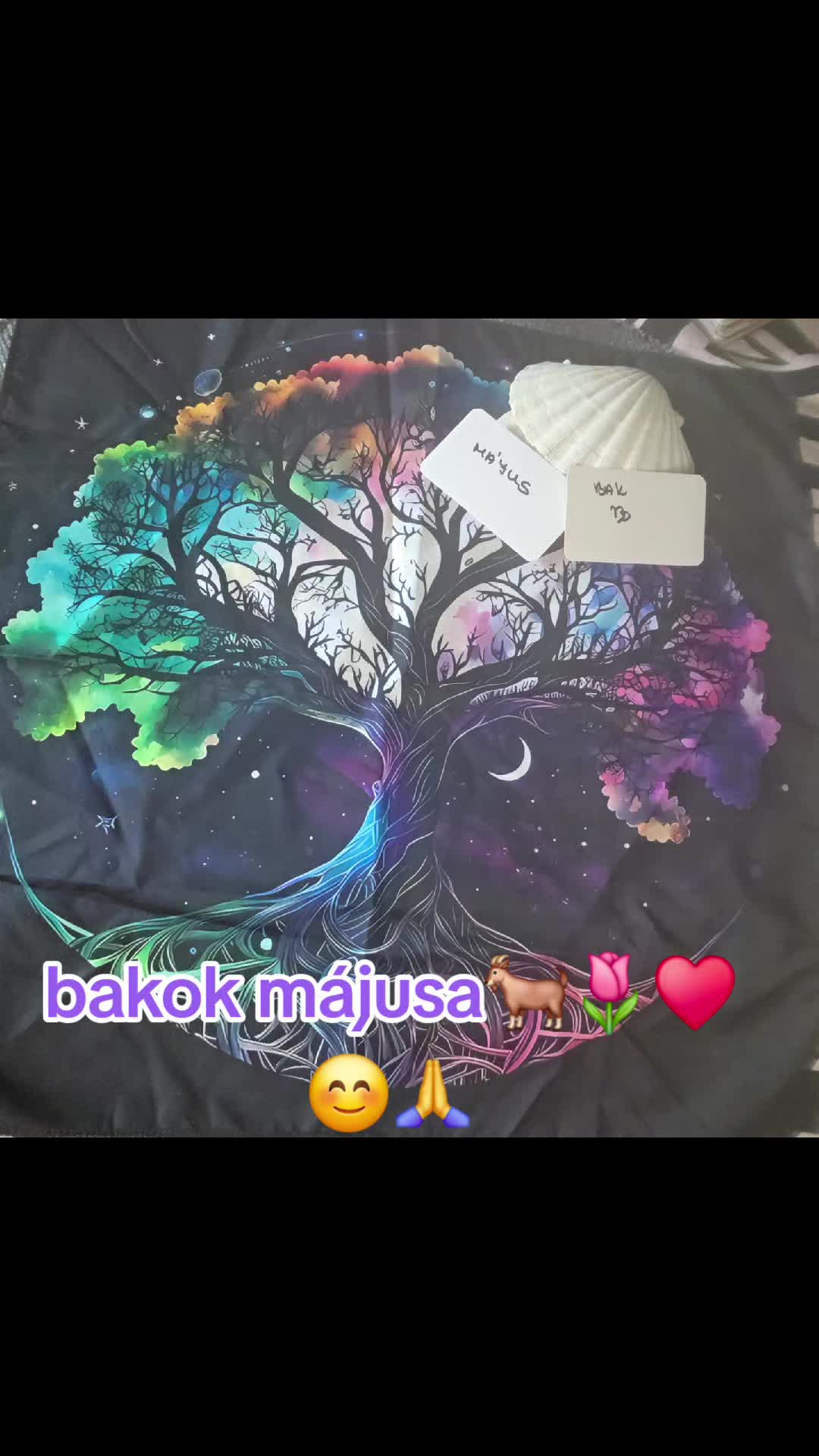 @szakr&aacute;lis var&aacute;zs