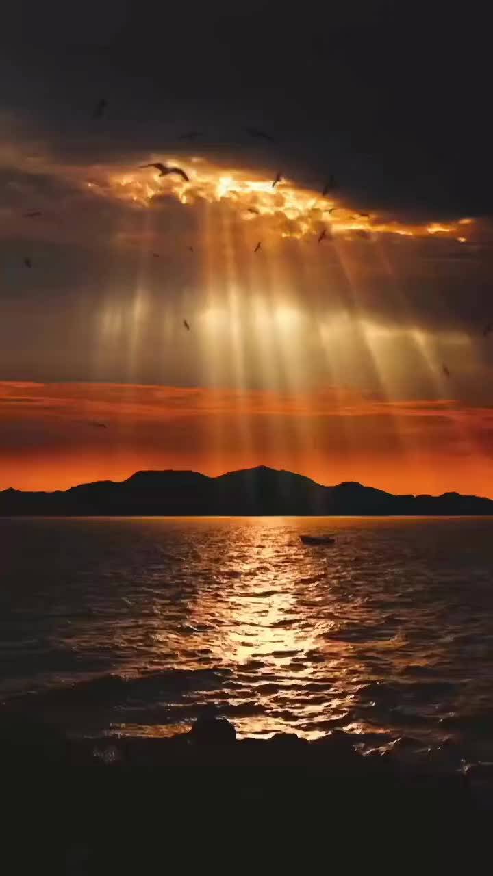 @jessica5385