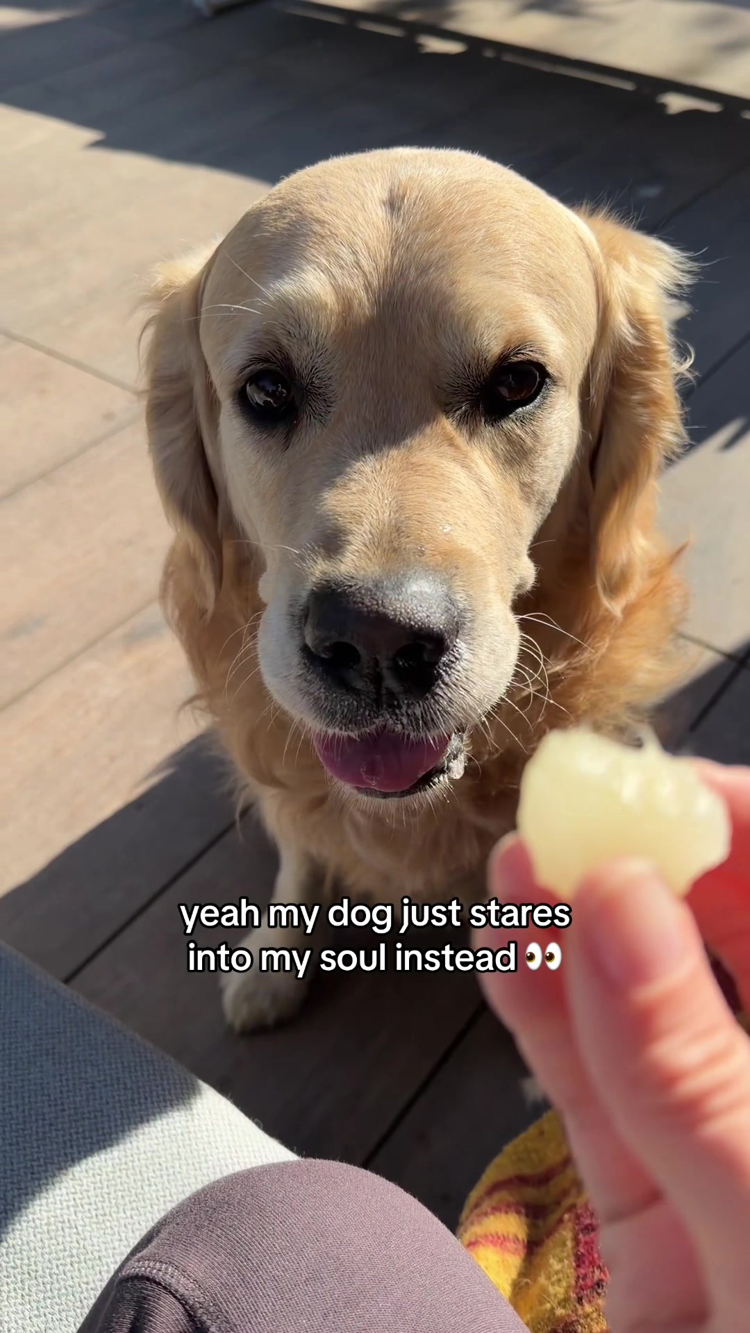 @Charlie and friends