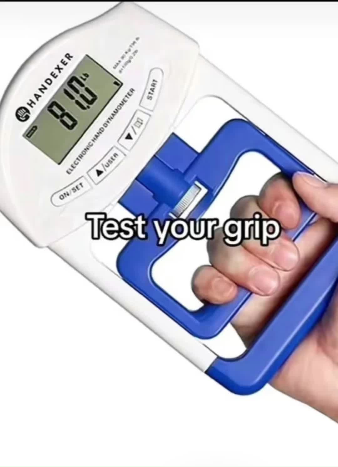 @Walter🦧