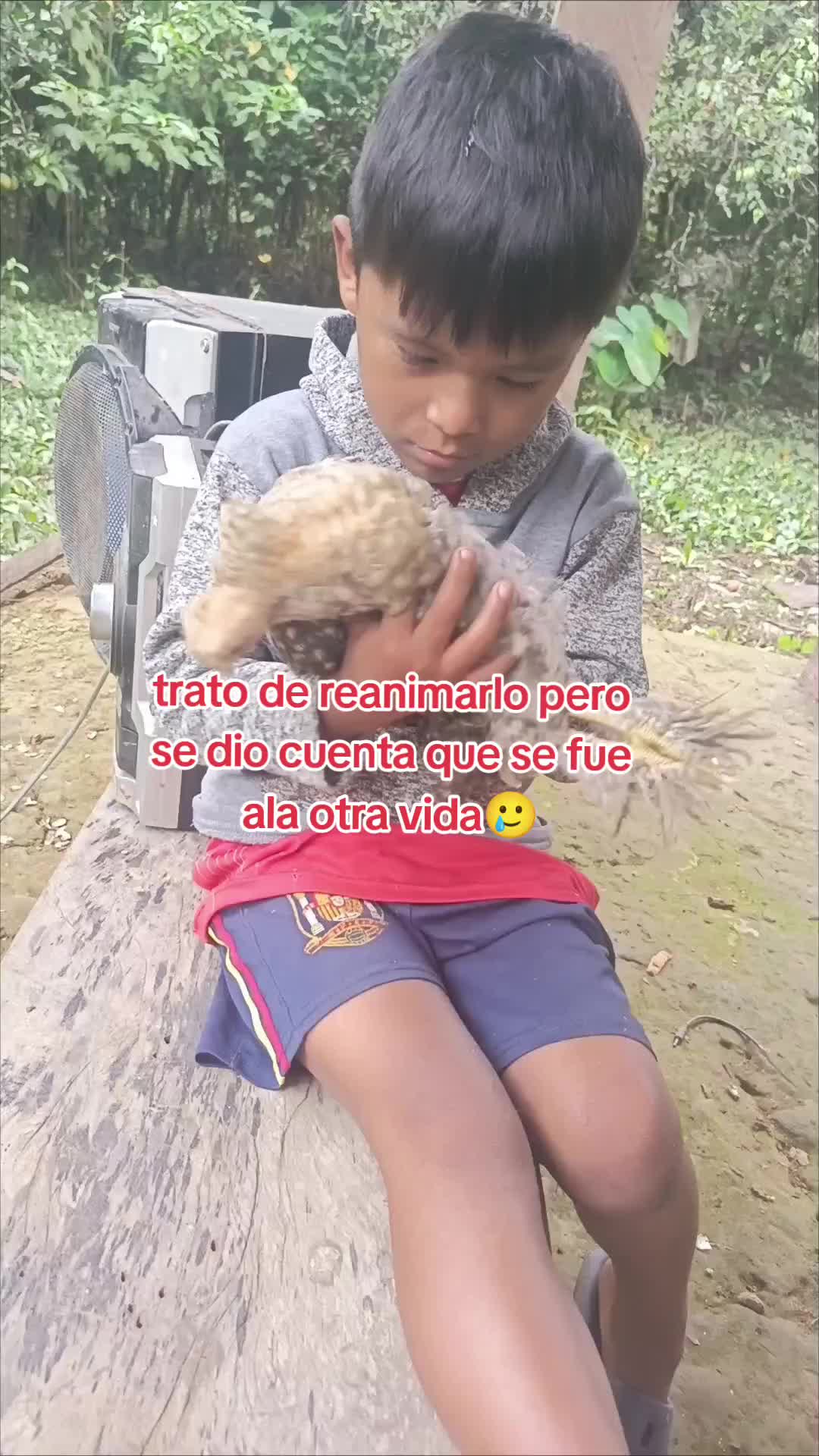 @esther-figueroa🐒