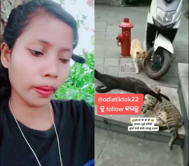 @user907331359223
