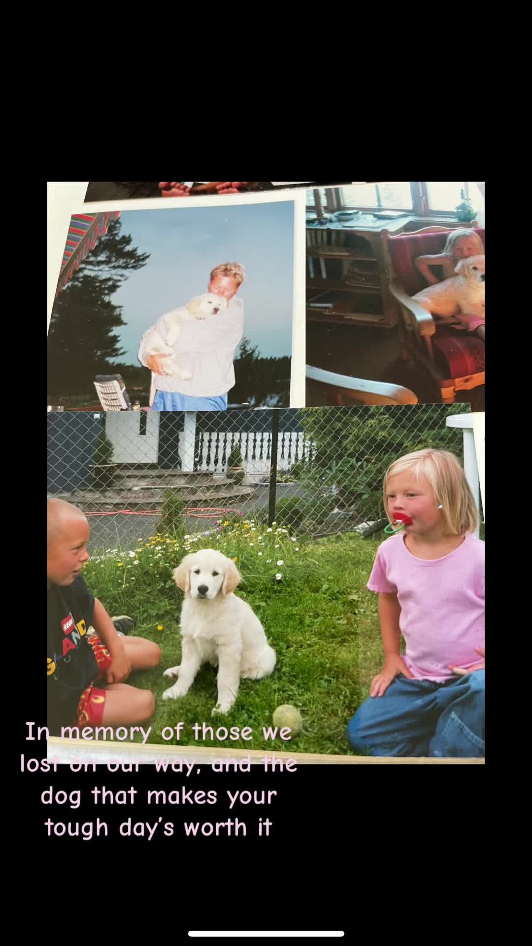 @Pepsi_thegoldenboy