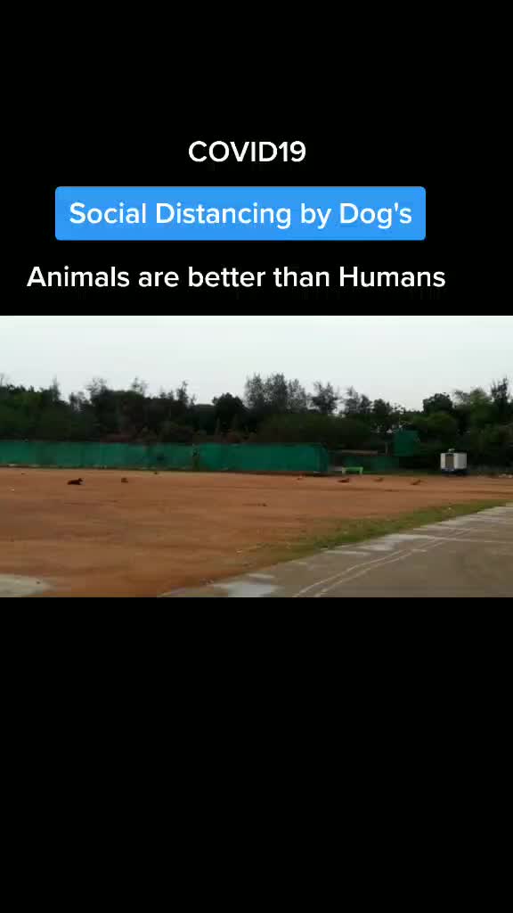 @Arun Kumar