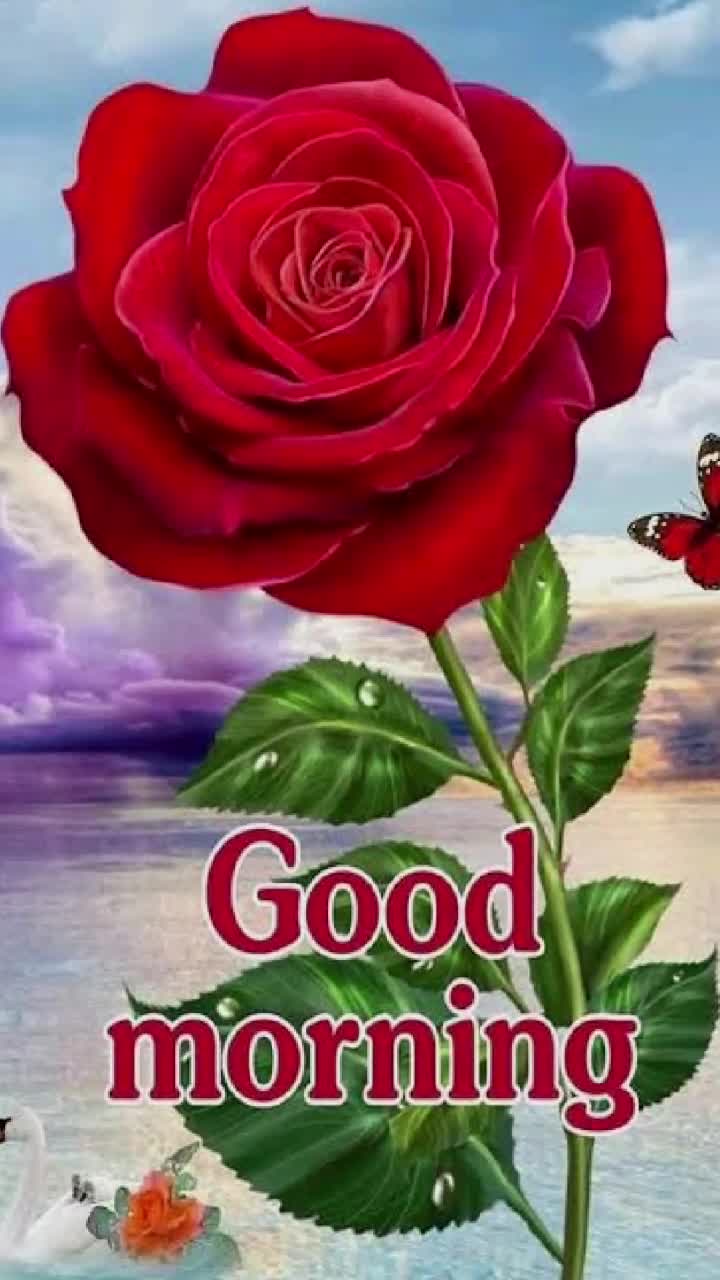 @RAHUL ANJALI