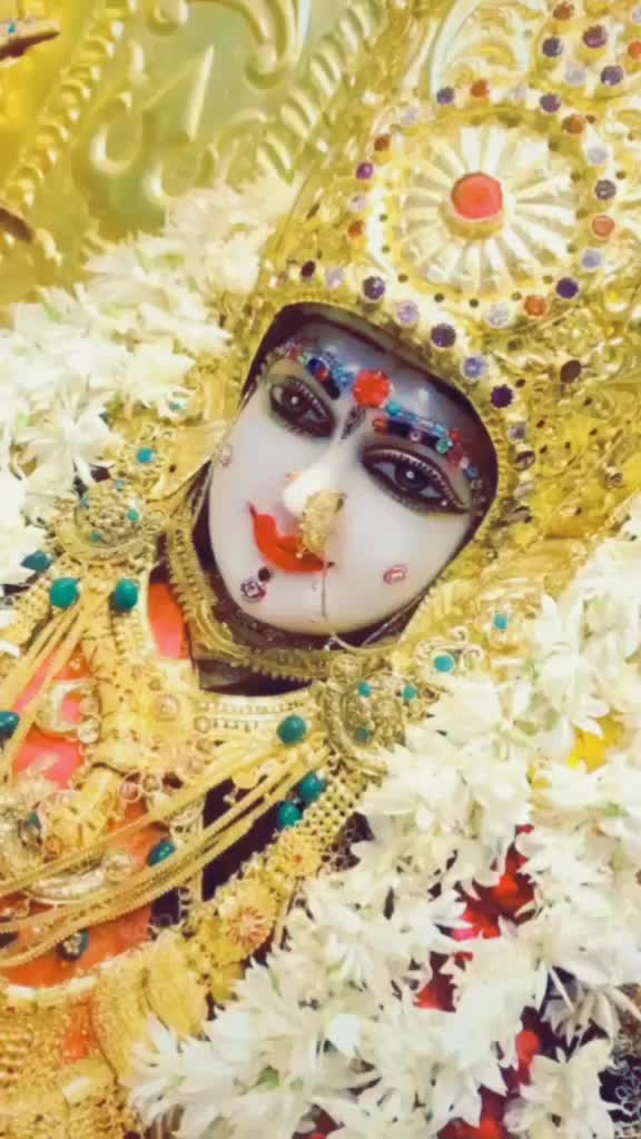 @K.K._Nimavat_55