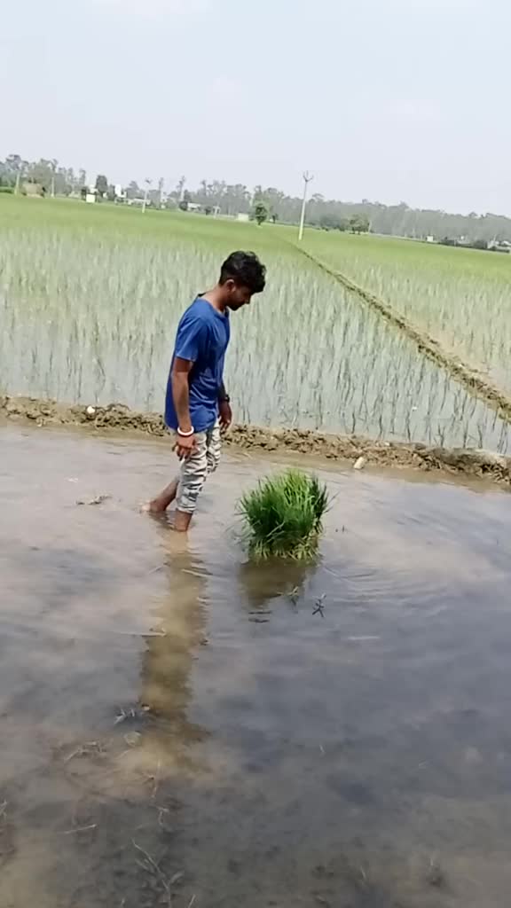 @bajwa