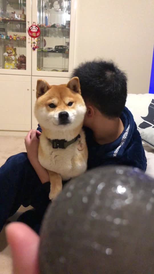 @Mochi.Shogun