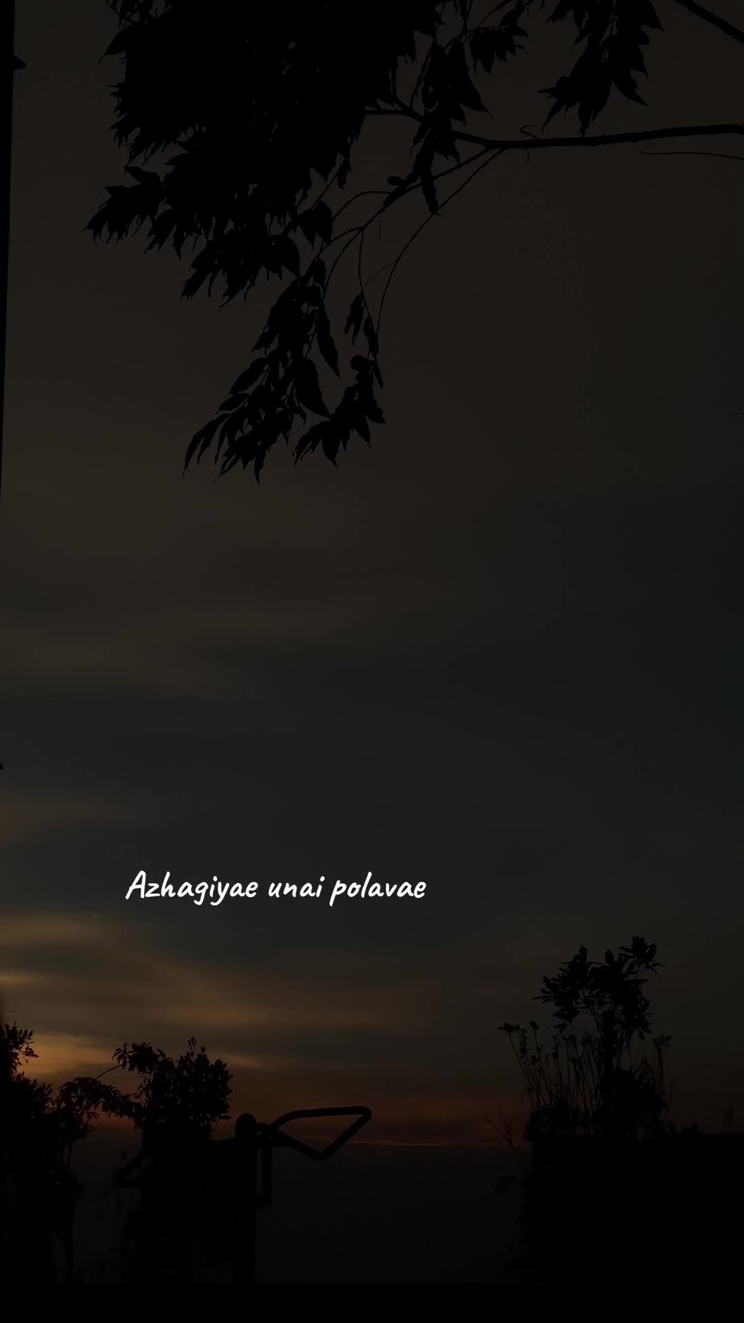 @Yoges
