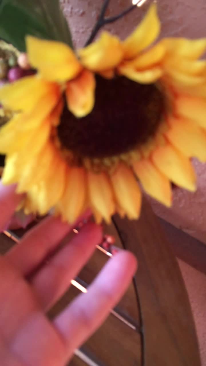@Aesthetic
