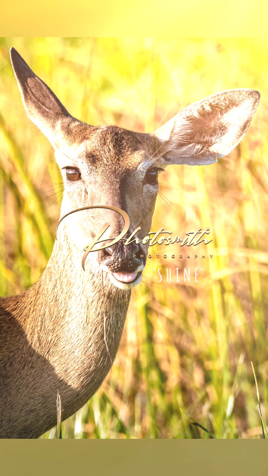 @Photosmith