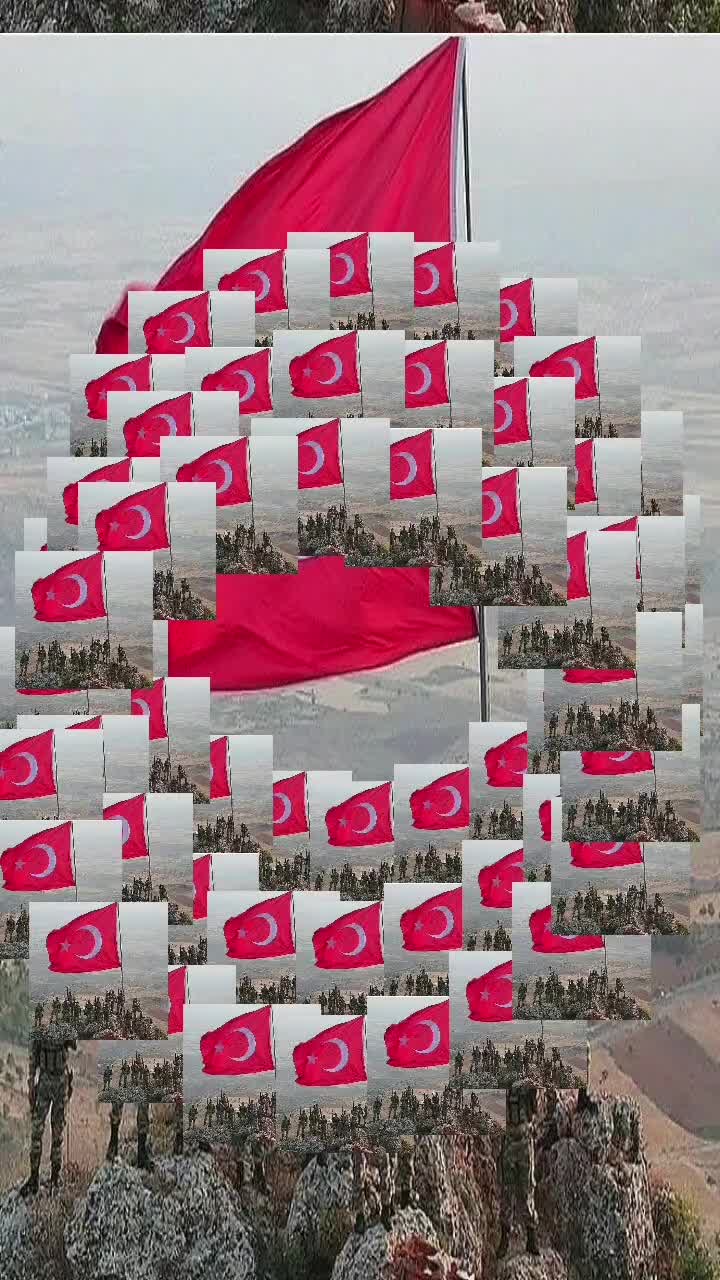 @sarı kiz