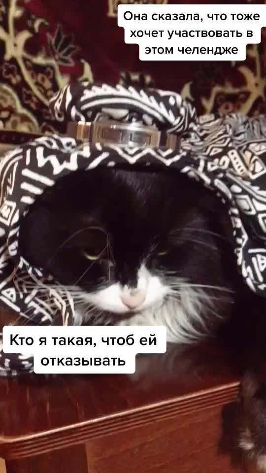 @Александра