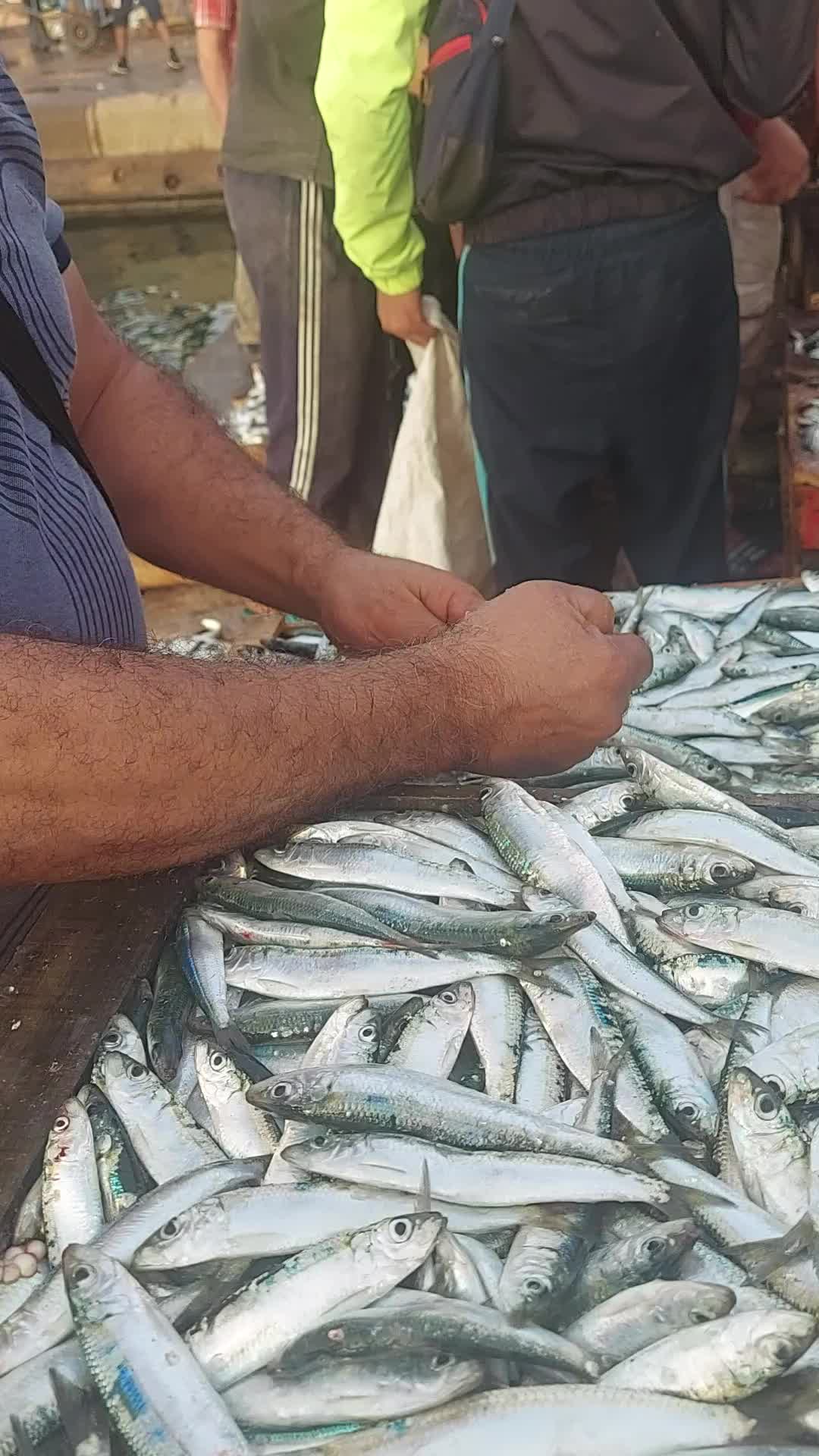 @Fouad p&ecirc;cheur