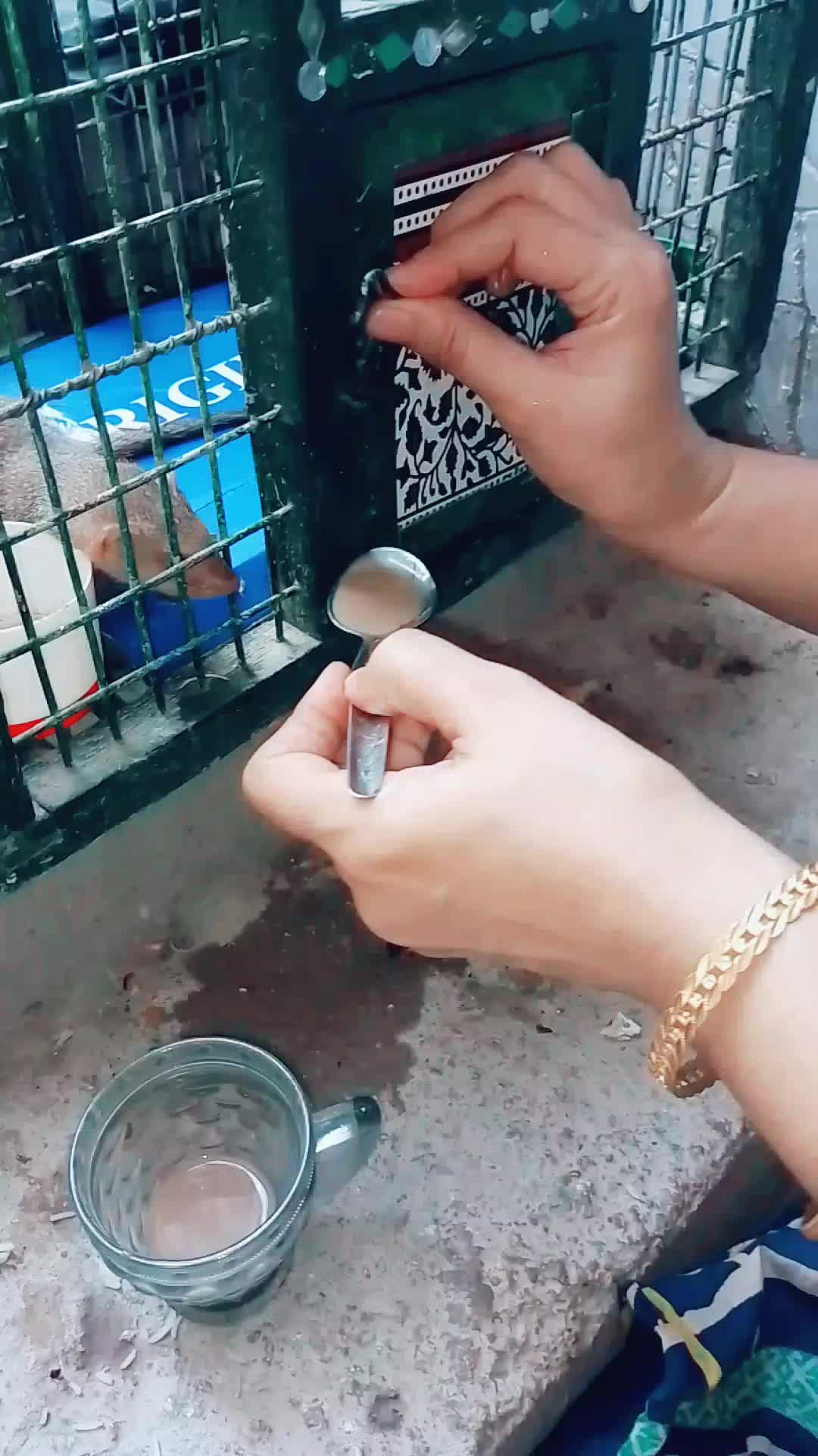 @❤️🌹