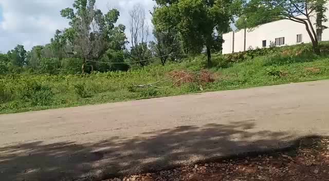 @user8330869712713
