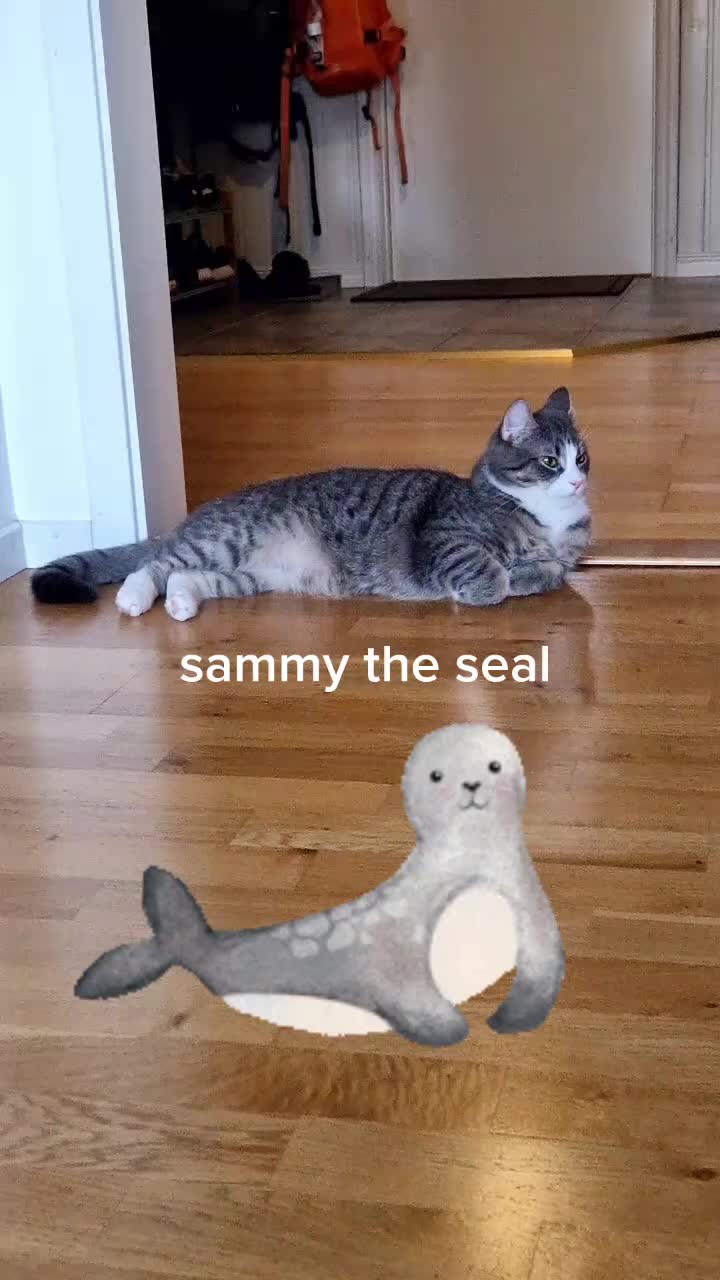 @Stu and Sammy