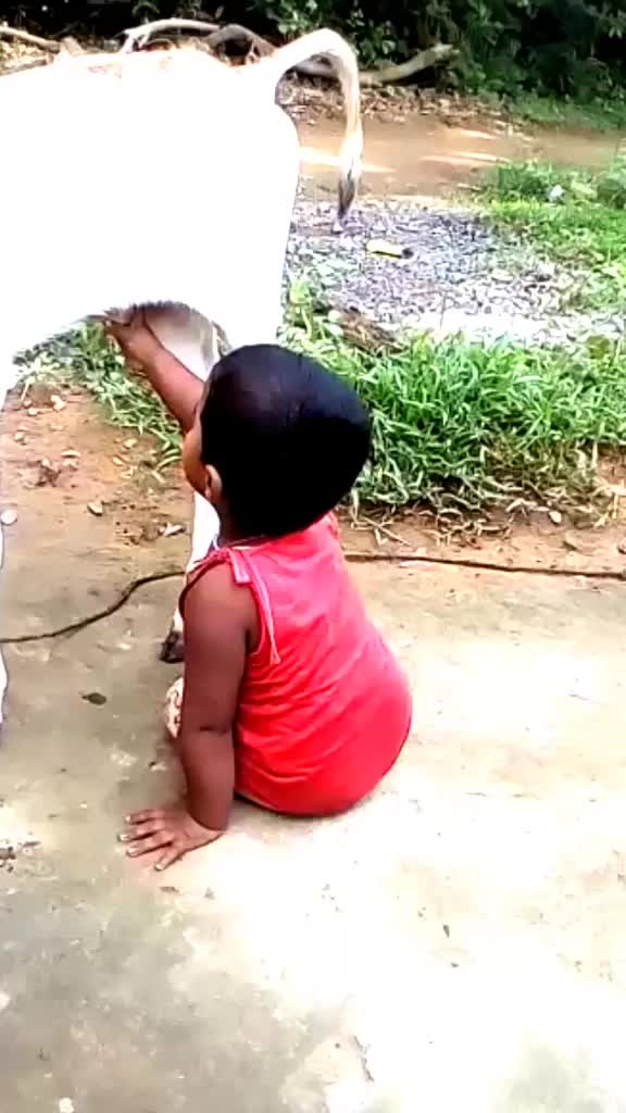 @Diptiranjan
