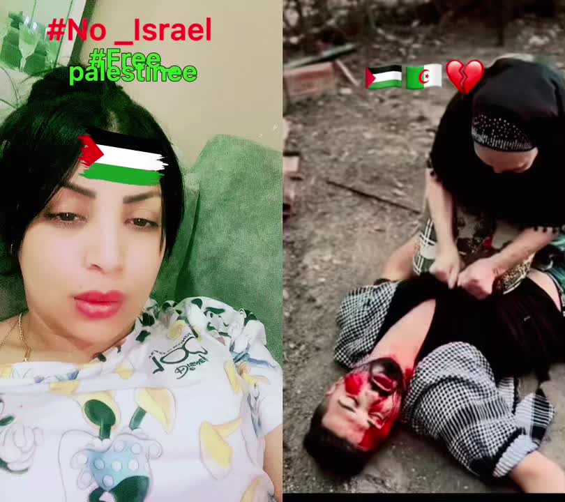 @Kamy akdawa