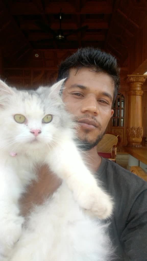 @sameenasubair7