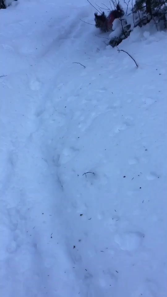 @smiiiidge