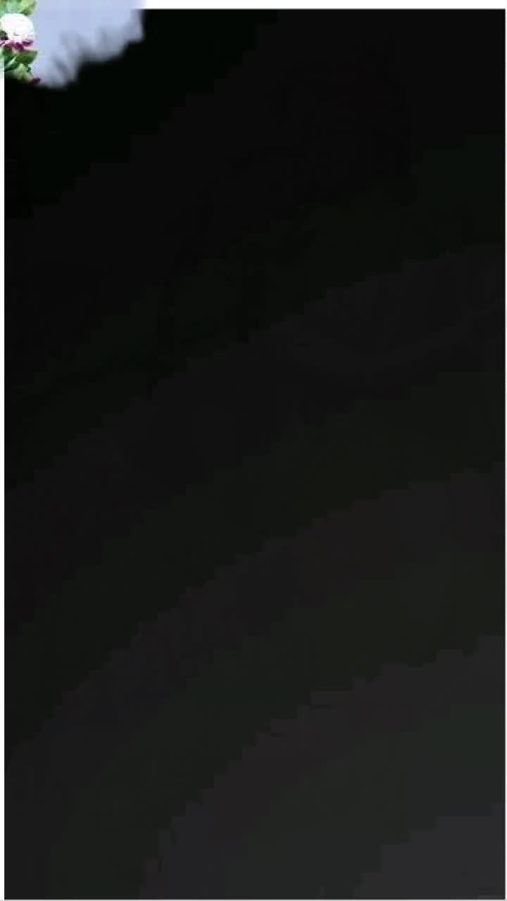 @user185225