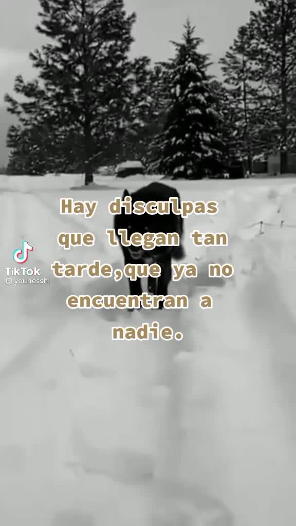 @jossetarambana