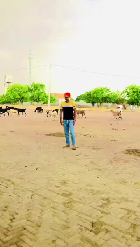 @Navdeep Chahal