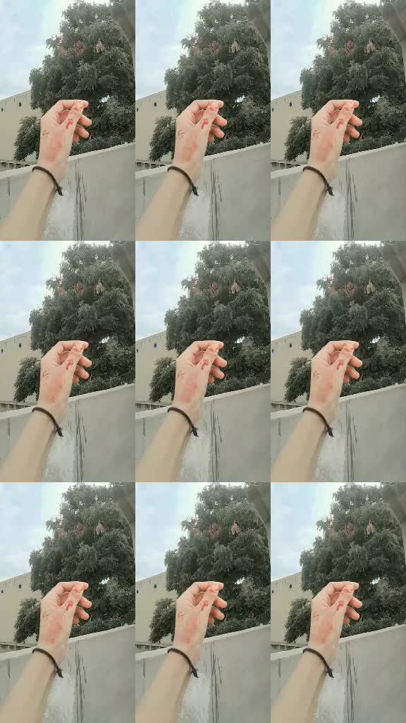 @๐ป๐๐ปBolach Queen ๐๐ฅ๐