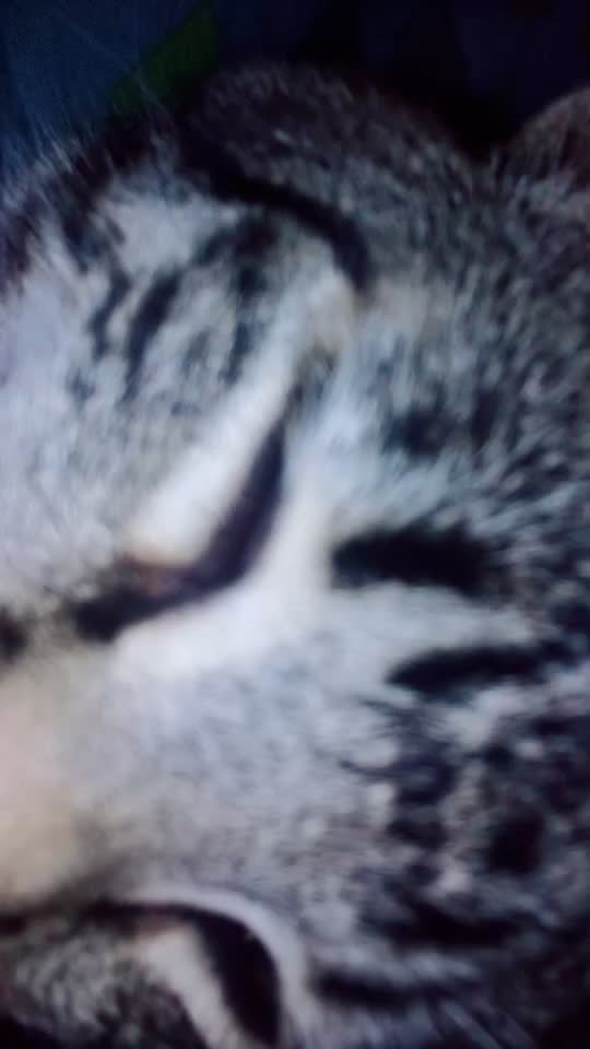 @Pitufinaaa...