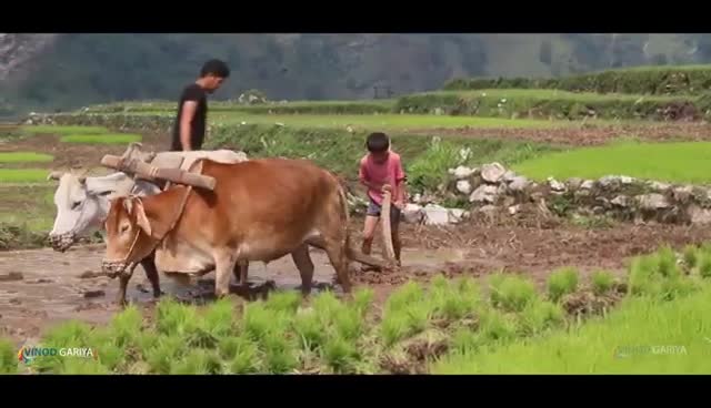 @Abhishek Kumar