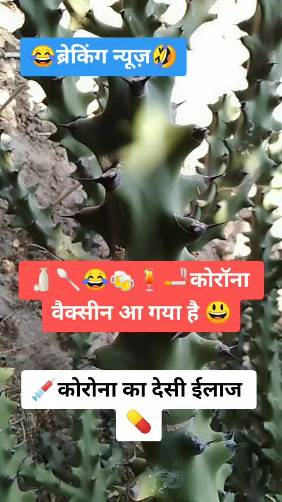 @kishan meena