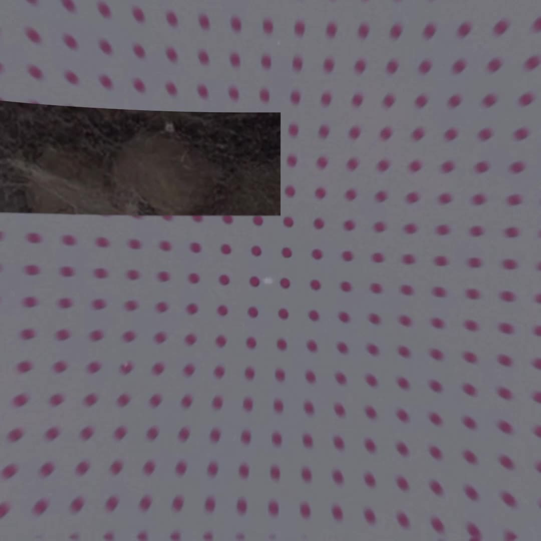 @༺⋆. °🦋⃟💗᪲᪲᪲°. ⋆༻