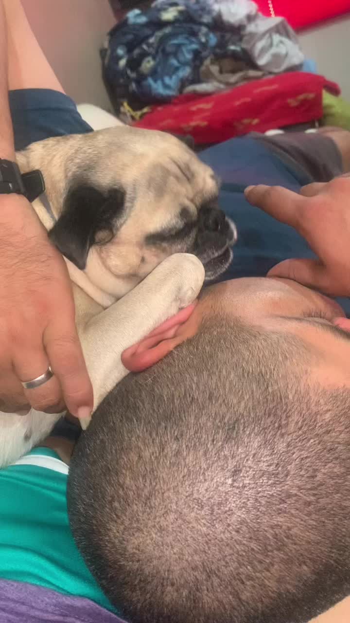 @En Memoria de Ninna Pug