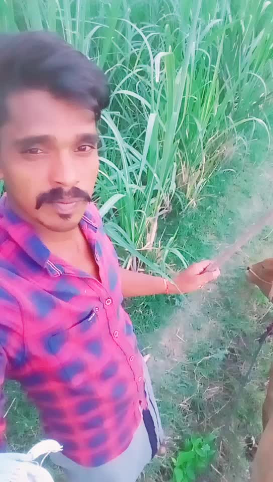 @Hariprakash