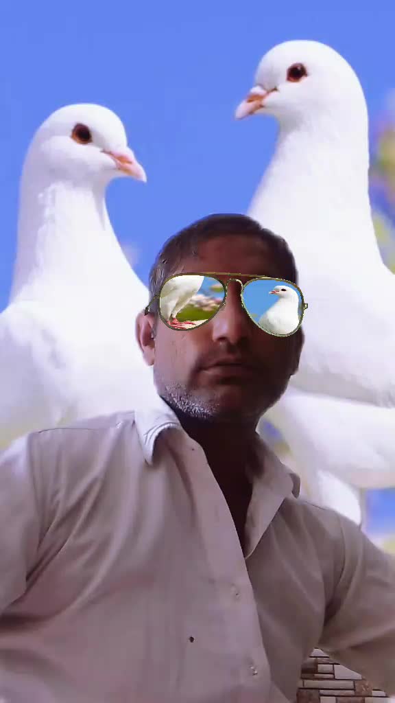 @Amir qureshi