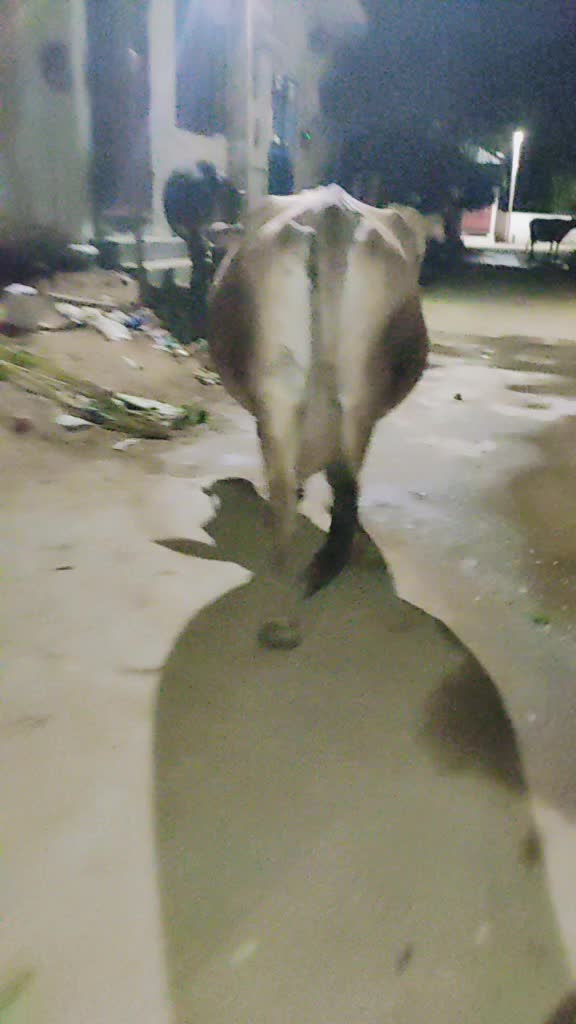@Minnalkodi Chandraka