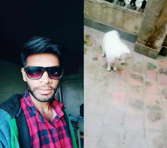 @jitendra bunker