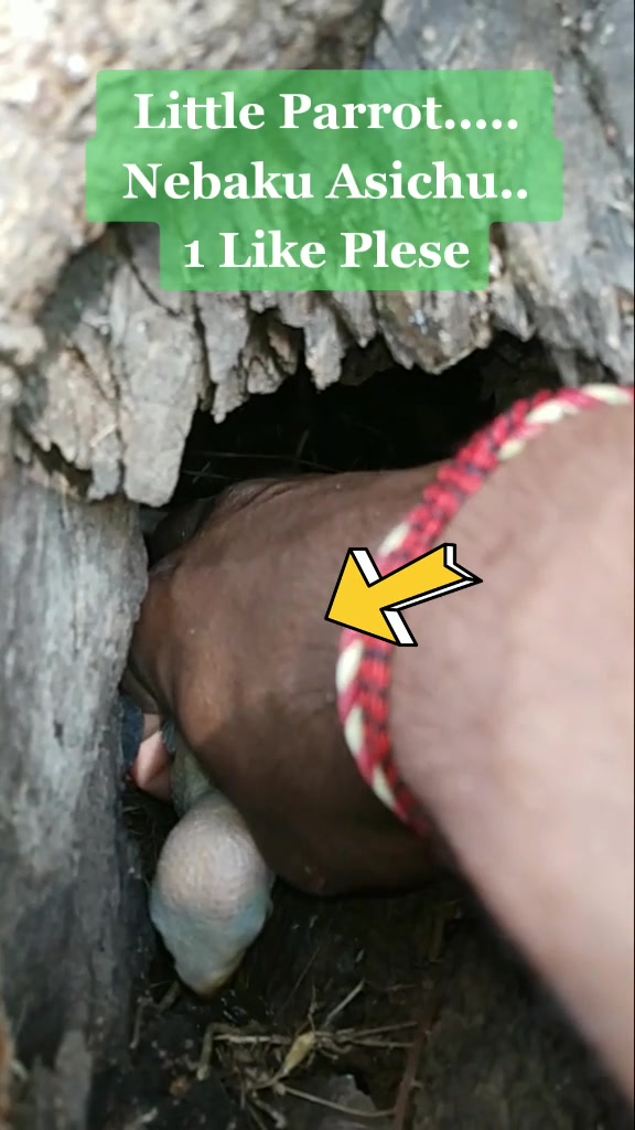 @🌟⚡ [.GIRISH.] ⚡🌟