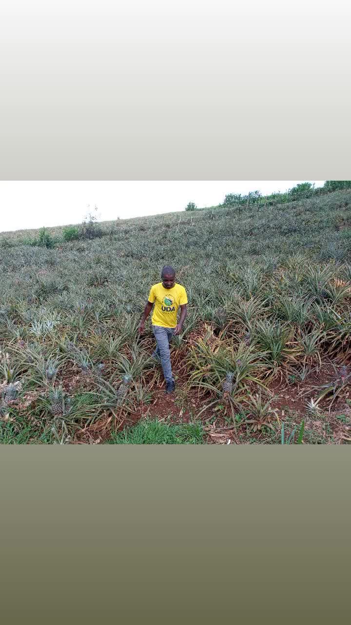 @Uncle Wa Safari