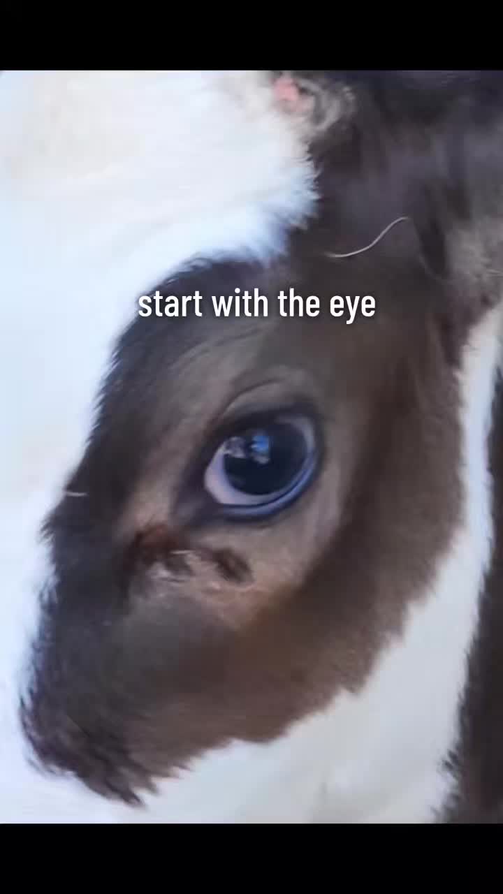 @Farmer Moo