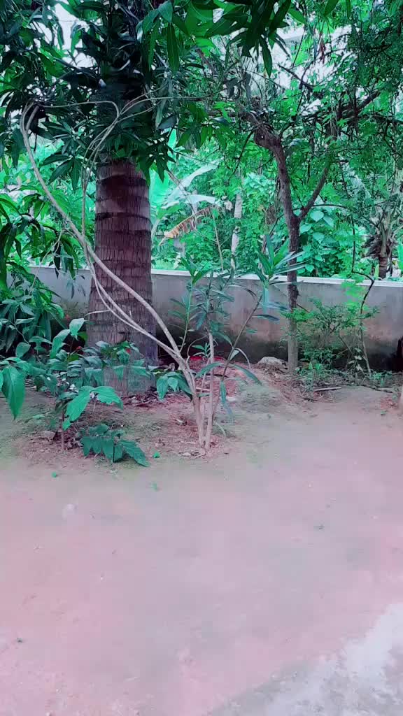@Vinod Kailasam