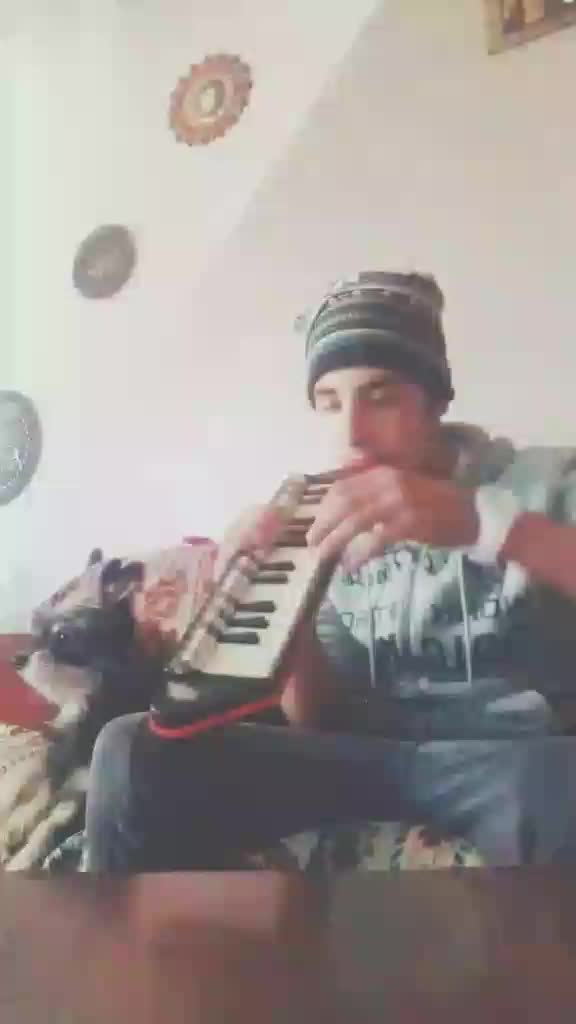 @gpernice_veroalpha