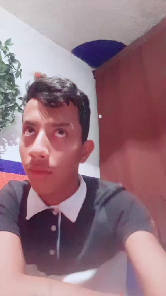 @chematellez52
