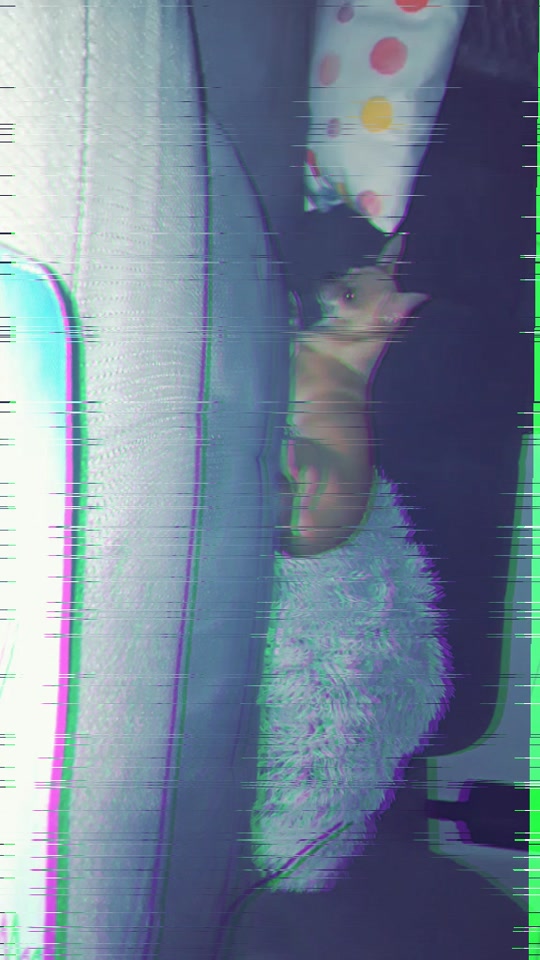 @LiliTeam