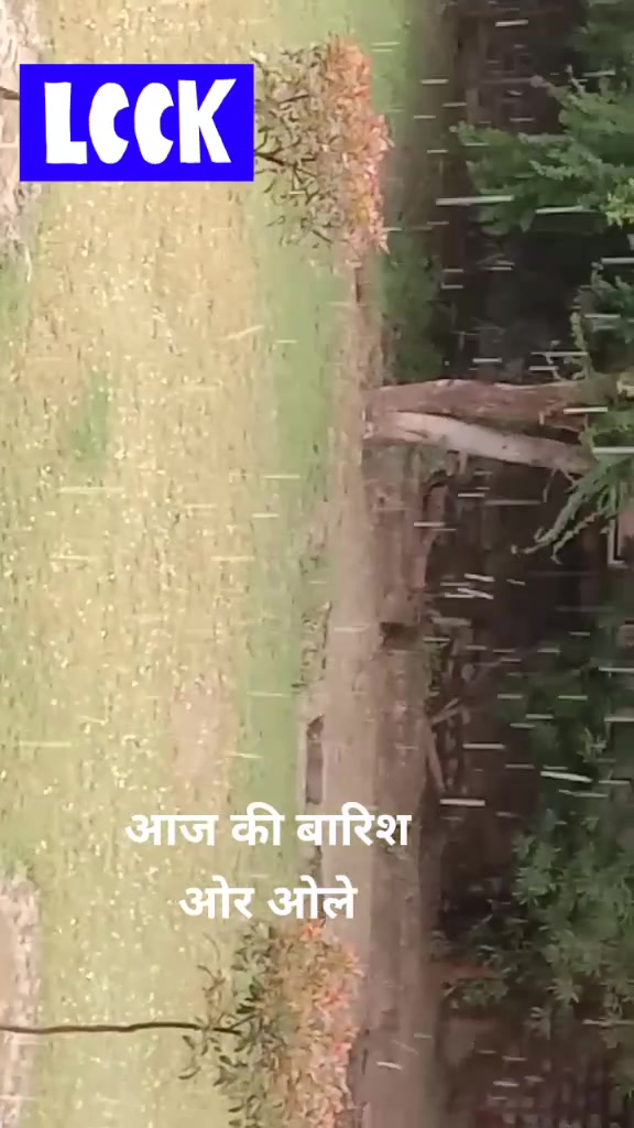 @guptaji