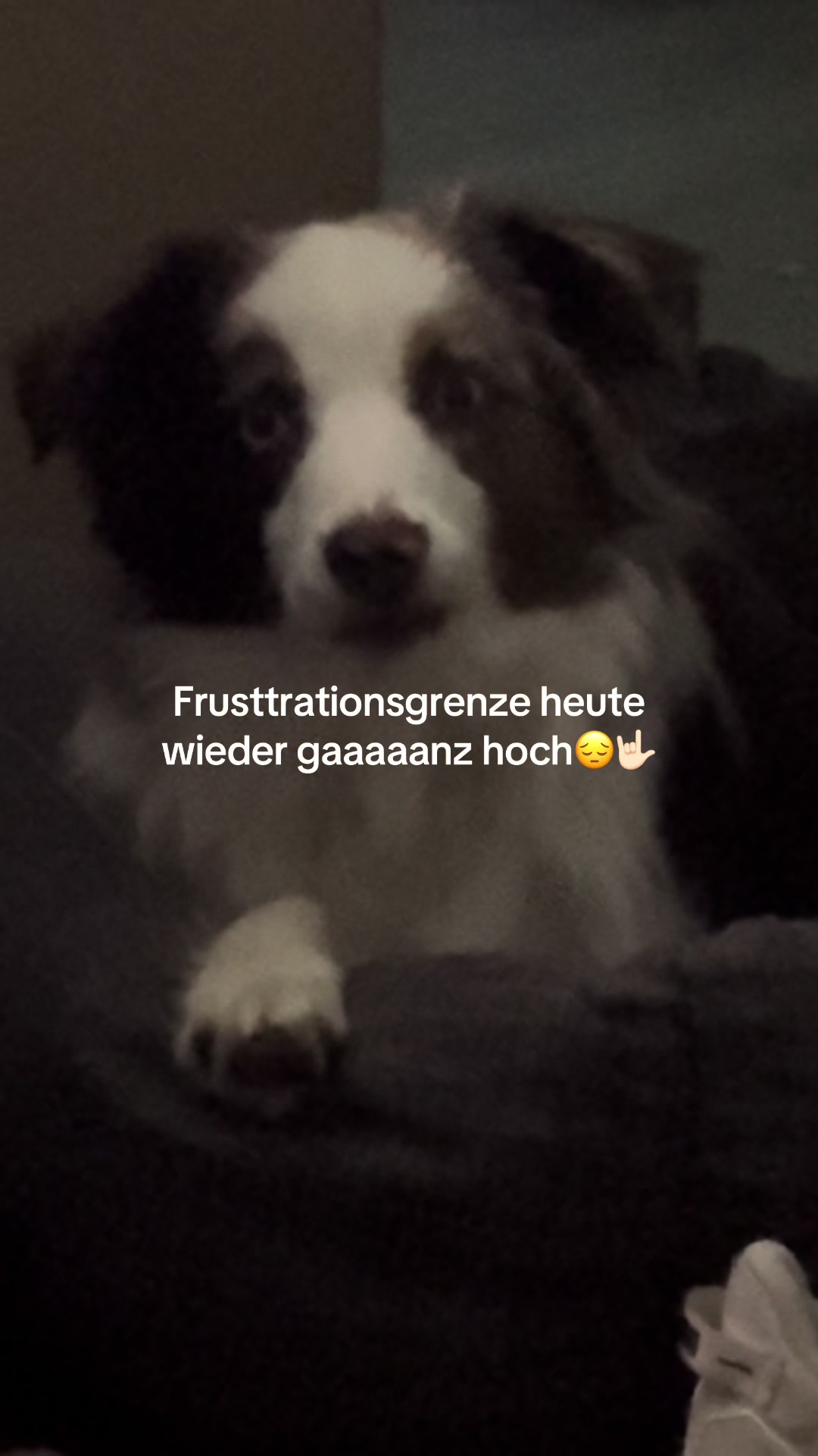 @maxi🫶🏻