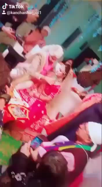 @sejalhashani
