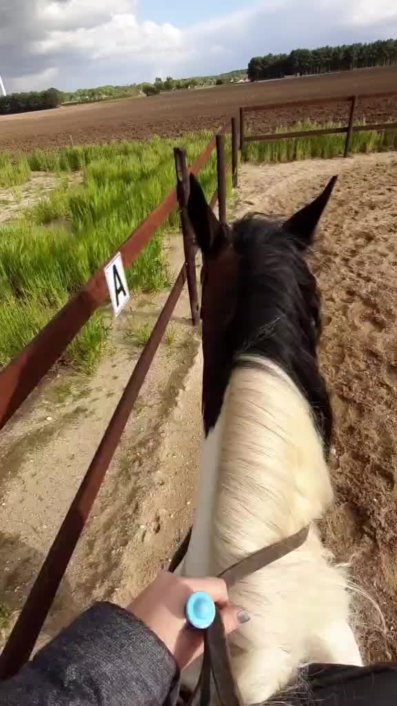 @horsecam
