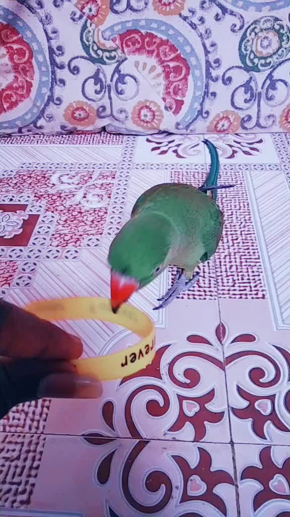 @S. Guna